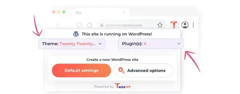 Tema de WordPress y complementos utilizados en un sitio