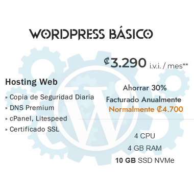 Web Hosting Professional WordPress Basic