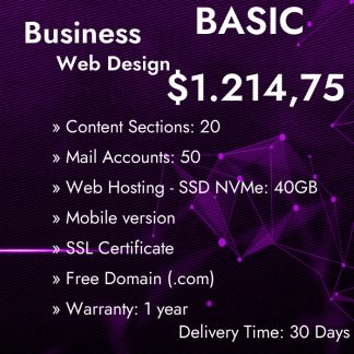 Web Design Business Basic