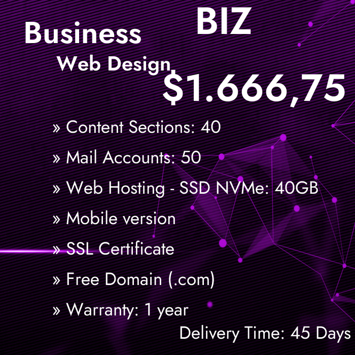Website Design Business Biz