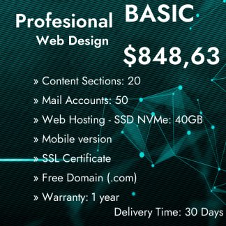 Web Design Profesional Basic