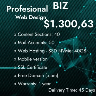 Web Design Profesional Biz