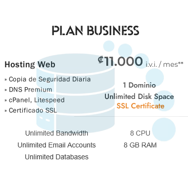 Alojamiento Web Plan Business