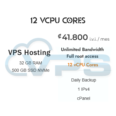Alojamiento VPS 12vCPU Cores